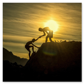 Distintivo de partner Hikvision