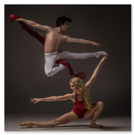 Distintivo de partner Dahua